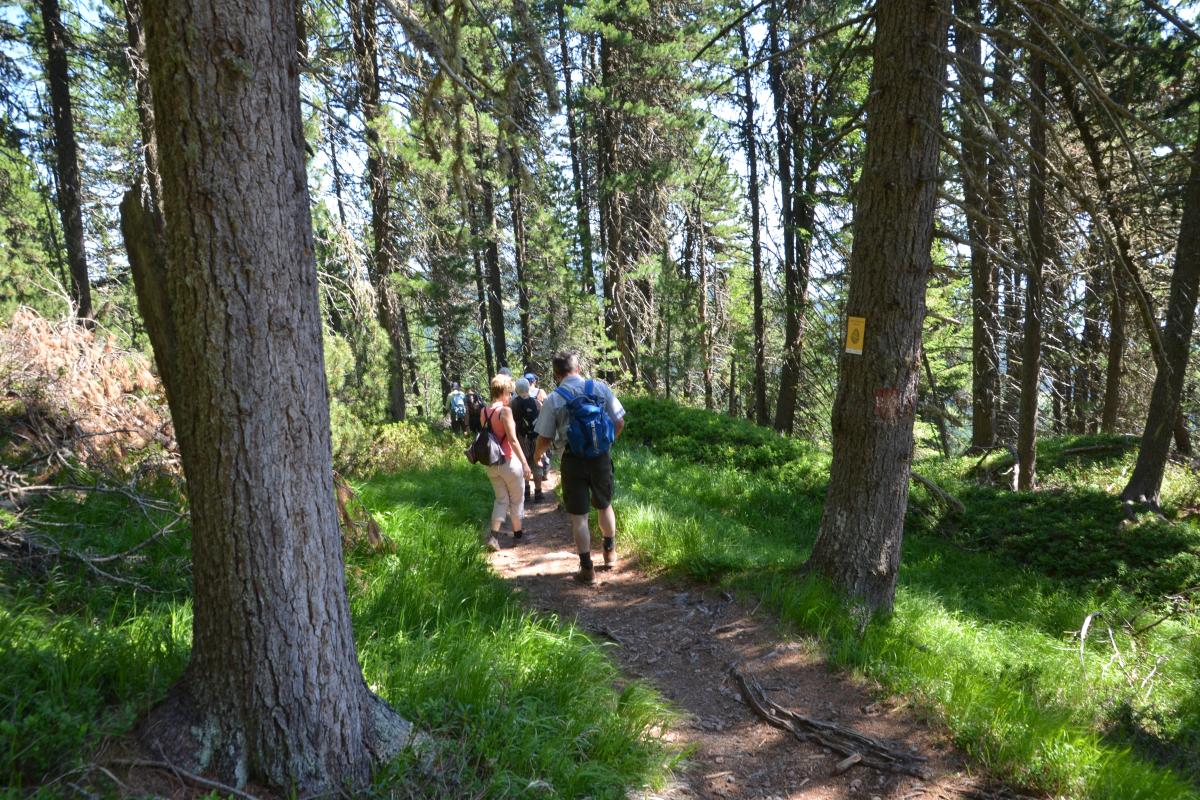 Latschenoelbrennerei und Platzer Alm 23.07.2019